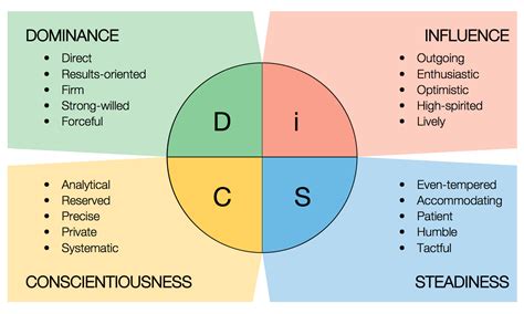 disc assessment chart|Iba pa.